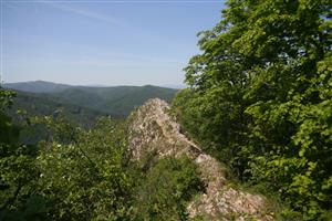 Celkový pohľad na biotop smerom na SZ