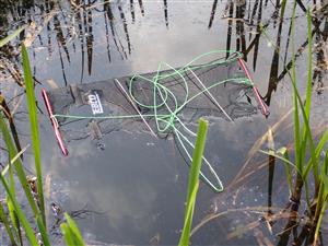 TML, interiér močiara so ZEBCO pascou