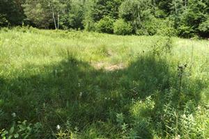 Celkový pohľad na biotop smerom na Z