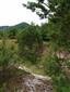 Suchomilné travinnobylinné a krovinové porasty na vápnitom podloží (*dôležité stanovištia Orchideaceae) (29.6.2014)