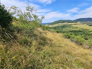 Pohľad na TML.