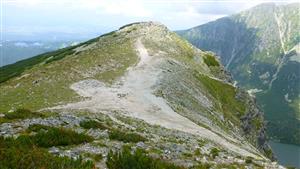 Pohľad na TML
