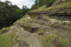 Celkový pohľad na charakteristické pieskovcové skalné útvary