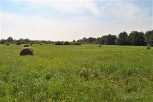 pohlad na lokalitu 3