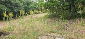 pohlad na lokalitu zospodu