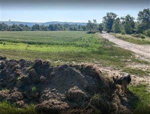 Pohľad na JZ okraj a vchod do hradiska