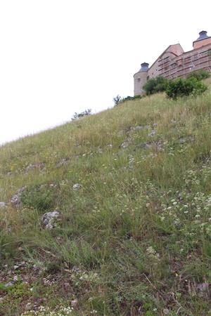 Záber na monitorovaný biotop.