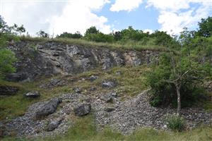 Celkový pohľad na mapovaný biotop.