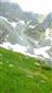 Alpínske trávinnobylinné porasty na silikátovom substráte (22.7.2023)