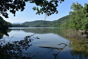 Celkový pohľad na monitorovanú lokalitu.