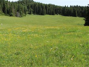 TML_6510_386, 2014_06_11, č. 01