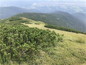 pohľad na lokalitu zhora