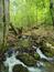 Orešnica perlavá (30.4.2023)