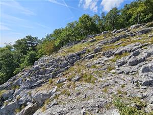 Pohľad na TML z juhovýchodného okraja.