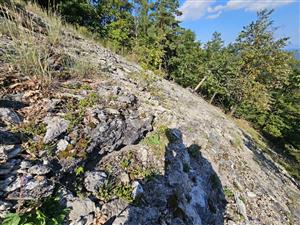 Celkový pohľad na TML.