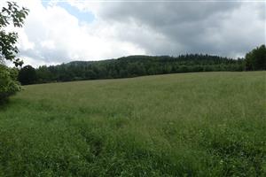 pohľad na lokalitu