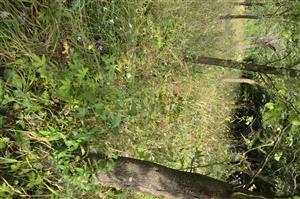 krajšia časť lokality