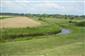 mlok dunajský (8.6.2013)
