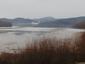 čorík čierny (18.2.2023)