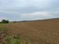 trasochvost biely (28.4.2023)