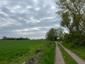 Sýkorka veľká ( bielolíca) (27.4.2023)