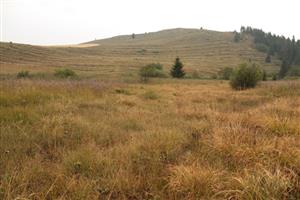 pohľad na S cez lokalitu