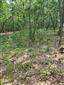 Eurosibírske dubové lesy na spraši a piesku (23.5.2023)