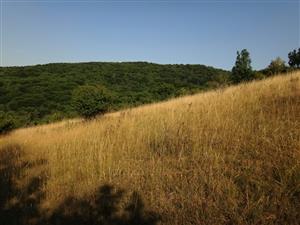lokalita