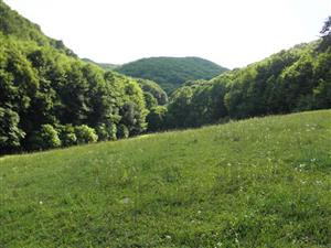 JZ okraj lokality pod masivom Humenskeho Sokola