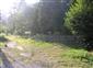 jašterica múrová (5.7.2013)