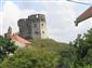jašterica múrová (16.7.2013)