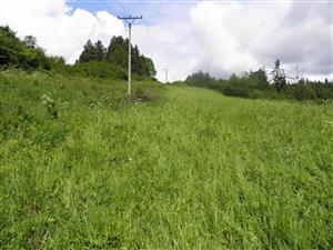 pohľad na elektrické vedenie prechádzajúce plochou v smere V-Z