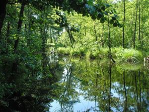 koniec TMP