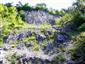 Suchomilné travinnobylinné a krovinové porasty na vápnitom podloží (*dôležité stanovištia Orchideaceae) (16.7.2014)