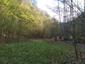 Mlynárka dlhochvostá (20.5.2023)