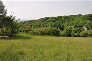 Na východnej strane prechádza vegetácia do zruderalizovanej vegetácie extenzívneho sadu a stavebnéh odpadu