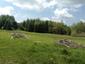 Mlynárka dlhochvostá (25.5.2023)