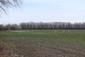 hus divá (18.12.2022)