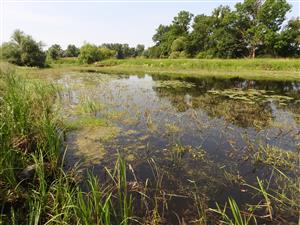 Pohľad zo severnej časti TML na juh.