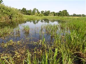 Pohľad na strednú časť TML.