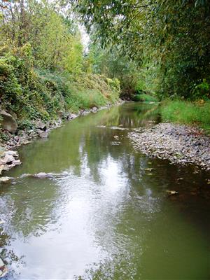 Koniec TMP proti prúdu