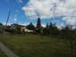 trasochvost biely (9.5.2023)