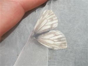 Foto Pieris napi f.bryoniae