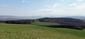 Včelár lesný (včelár obyčajný) (23.4.2023)