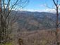 krkavec čierny (27.4.2023)