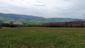 krkavec čierny (18.4.2023)