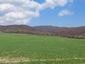 krkavec čierny (24.4.2023)