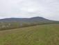 krkavec čierny (29.4.2023)