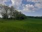 Sýkorka veľká ( bielolíca) (7.5.2023)