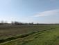 Včelár lesný (včelár obyčajný) (23.4.2023)